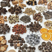 ɹľƬɹֲ˱ֹdiyɻϰb