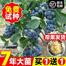 {ݮϷ̨Nֲ籱ͥԺͺԹ{ݮ