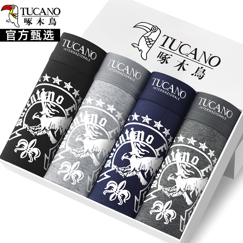 [항균 4팩] 골든이글 스타일