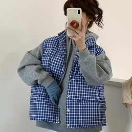 2025新款蓝色格纹无袖马甲背心棉服外套女秋冬设计感立领马夹坎肩