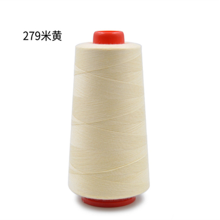 살구 279m 노란색