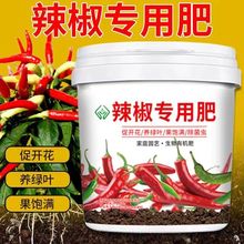 辣椒专用肥蔬菜椒青椒朝天椒线椒专用肥料200克500克1000克有机肥