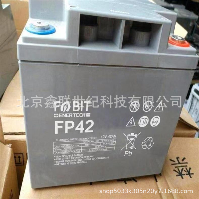 FABIT菲意特蓄电池 FH100 铅酸免维护蓄电池12V-24AH 通信机房eps