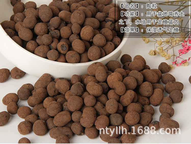 O1CN01RaCC402IjWs7zXqQp_!!2213