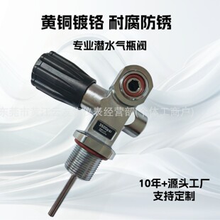 3500PSI���I��ˮ�S�~��ƿƿ�^�yˮ�κ���������DIN+YOKE�����y�T