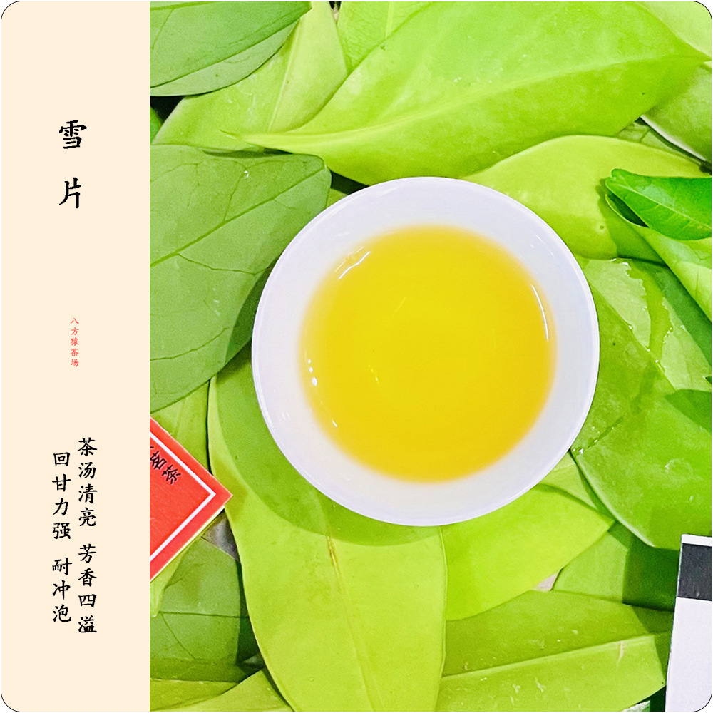 Snowflakes (500g in a pound) Spring Chaozhou Frozen Black Oolong Single Bush Tea, Fragrant High Mountain Fenghuang Single Bush Tea