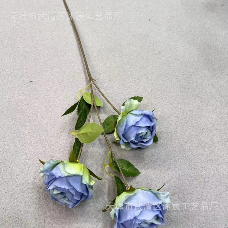 3頭のアカシアのバラはヨーロッパ式の油絵のバラの家庭の撮影の結婚式の撮影の道具の装飾の花をシミュレーションします。|undefined