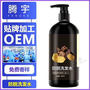 Customized Anti-Hair Loss Shampoo Oem Obm Oem Processing Deep Cleansing Fluffy Cleansing Solid Hair Ginger Hair Growth Shampoo
