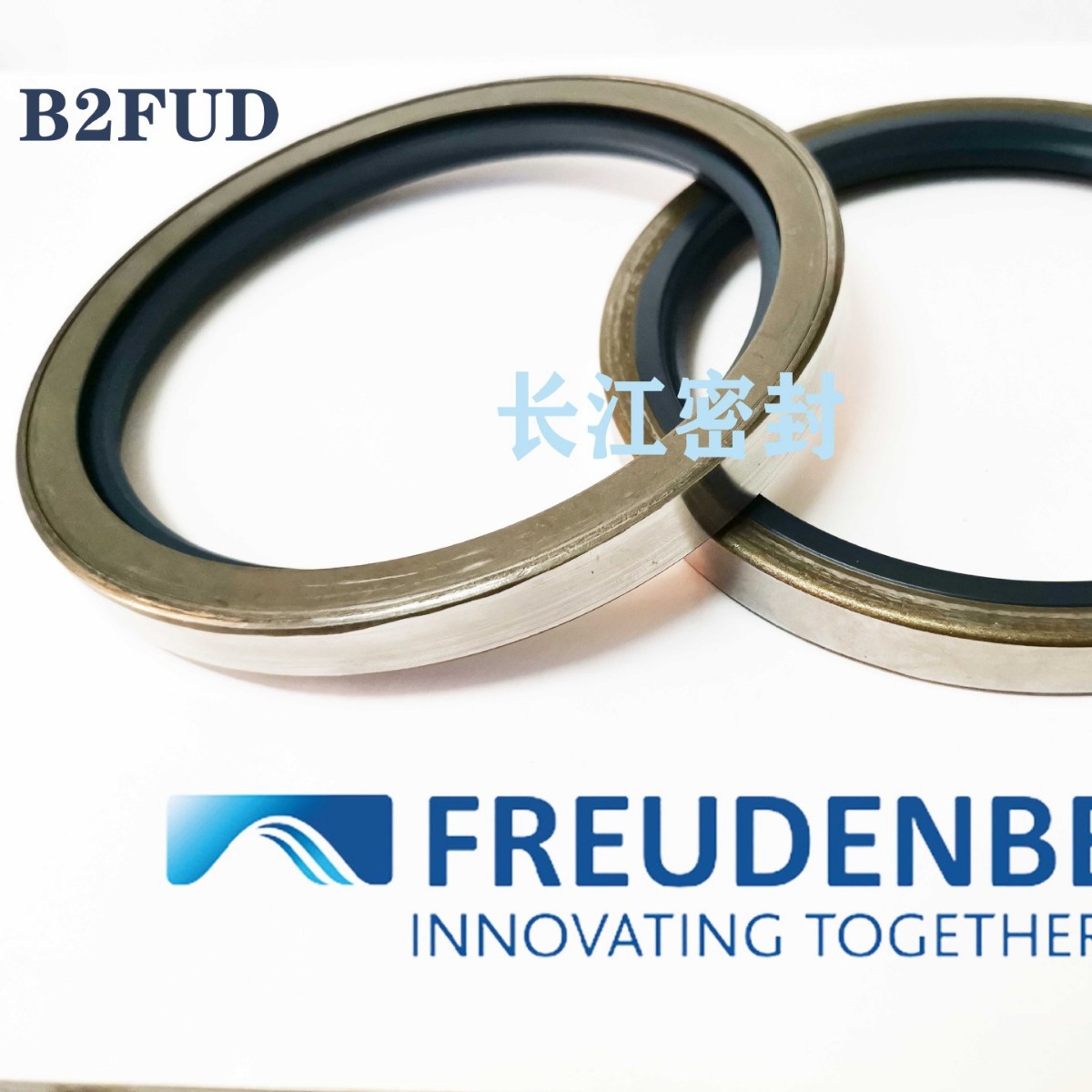 德国CFW进口simrit铁壳油封B2 65-90-12 70-90-13 80-100  90-110