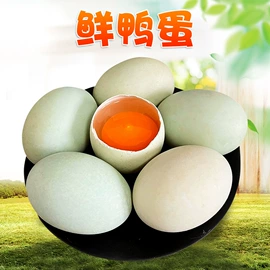 代用/养生茶;花果茶;西式糕点