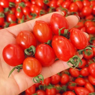 ��ɽ88С���� ��S���]��ȸ�С�r��ķ���ζƤ������С����