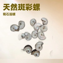 �R�_��˹����Ȼ���ݻ�ʯ�[ �߲���ԭʯ�������˱��[����ʯ��ʯ