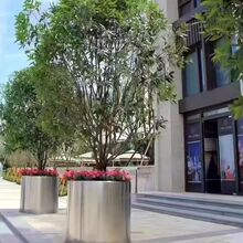 ���⻨����[�̘I���ۘǲ��V�������L���λ��軨���ӈ@ˇ��������