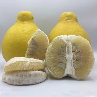 ���ӏV�|÷��ɳ���ֳ���÷�h�������rˮ�����Ĵ���������Ӱ��]