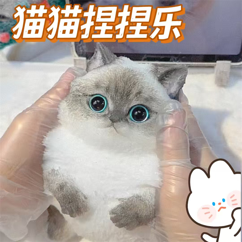 Simulation cat pinch music decompression toy cute slow rebound pinch creative ornaments simulation animal girl student