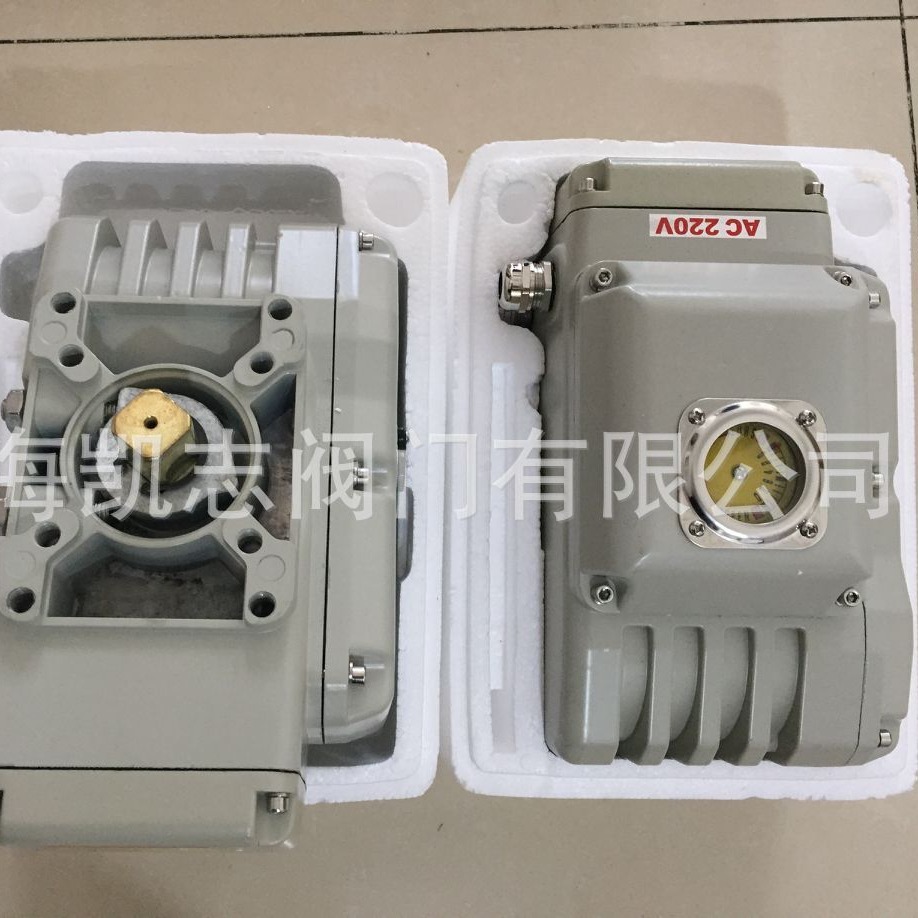 输出扭矩600NM DCL-60精小型电动执行器 DCL-100电动执行机构220V