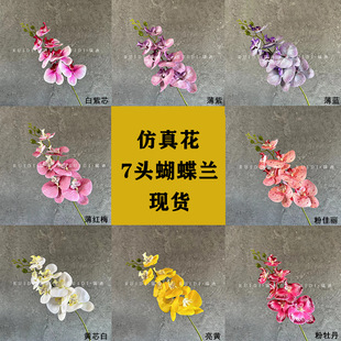 �·��滨7�^�����m��Y�Ƶ겼�û�ˇ�[���҃Ȳ廨�b߼��мٻ�