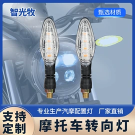 摩托车灯;工作/检修灯;牌照灯