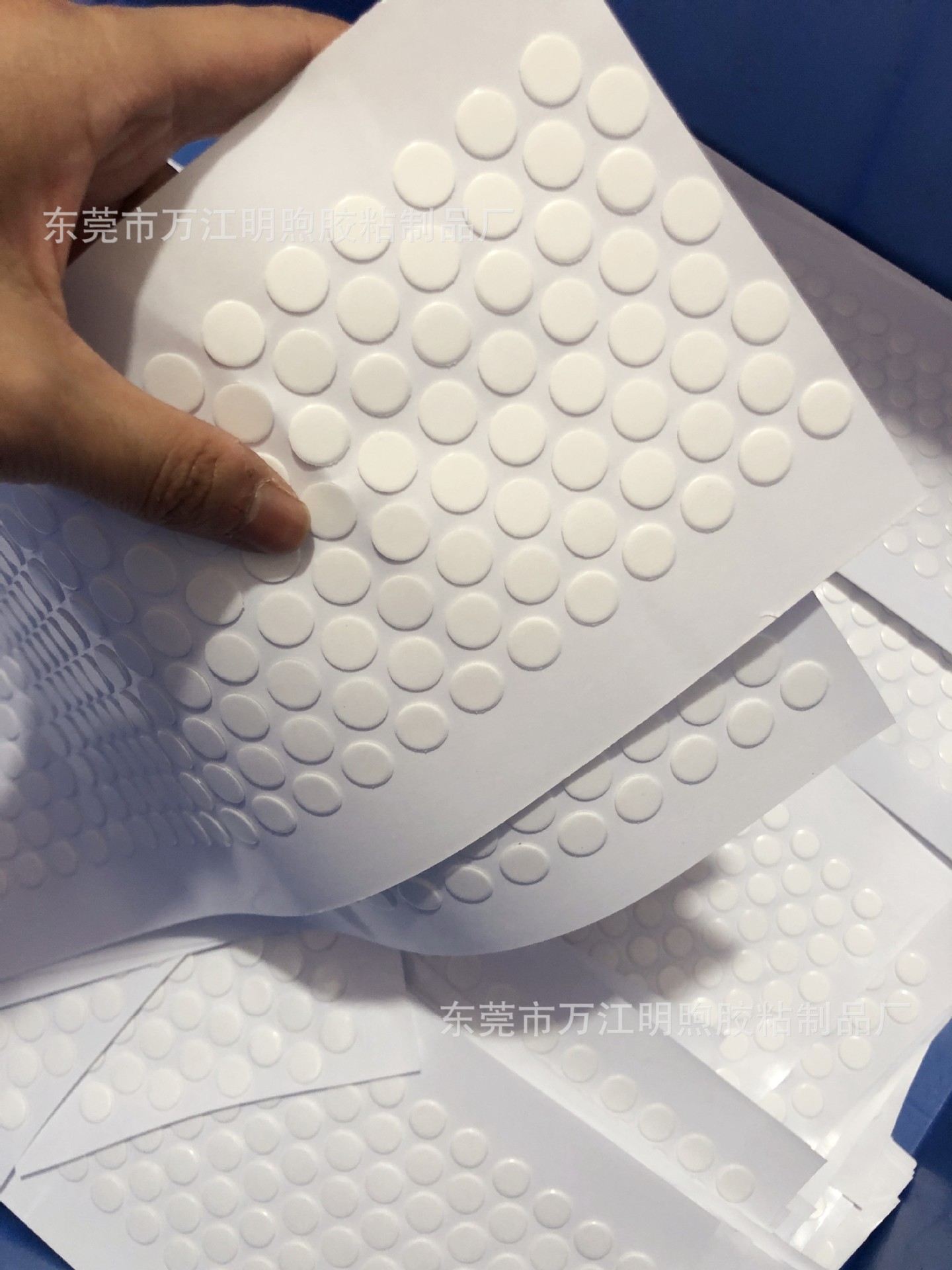 50097c3d6f2e67f21cf3733f68a9e6