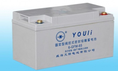 威海文隆电源有利蓄电池 6GFM65直流屏UPS铅酸储能型12V6H 包邮