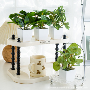 �������ԼҾ��b��~��ֲ��ٻ������~�����~�k���Ҕ[���Gֲ�辰