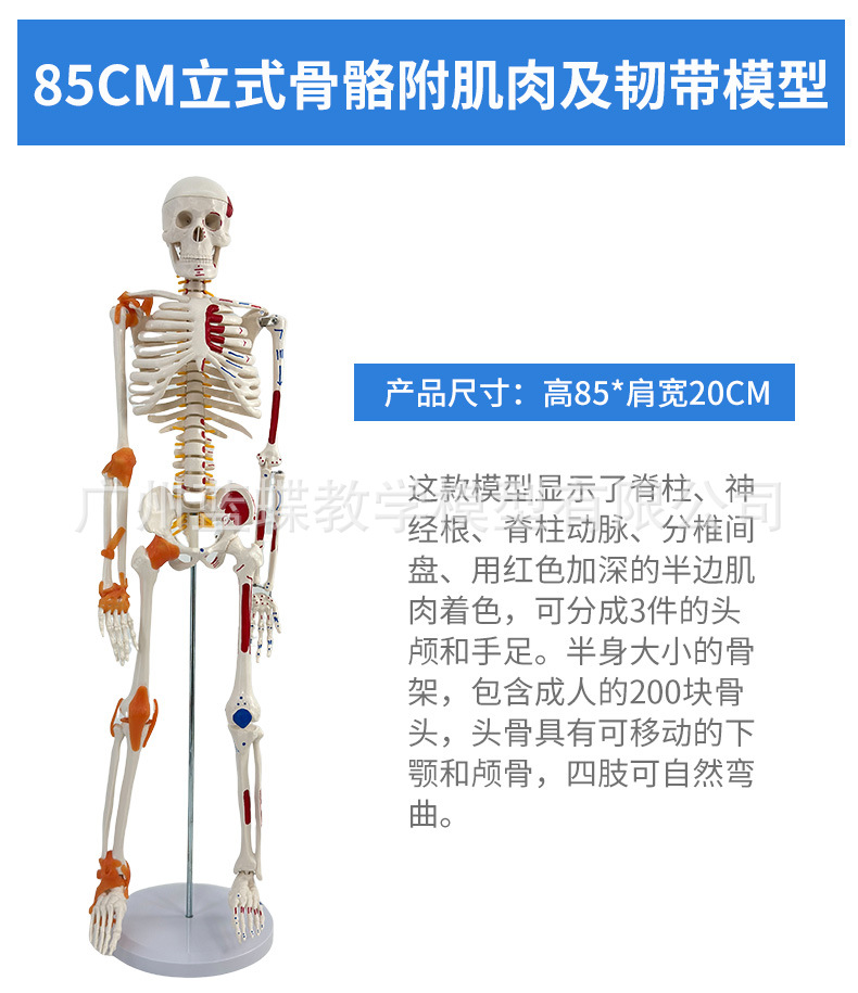 详情_24