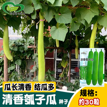 �Ѓ�������ӹϷN�� ���ɿ��L��������Ѳˈ@�r���̨�����߲�