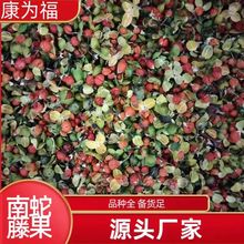 南蛇藤果 合欢花  南蛇藤果花茶 中药材南蛇藤果 代打粉 各种冷背