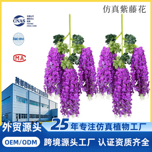 �������ٻ��ٻ����_�m��픻��ټ����҃Ȼ�c�b��ٗl��������ֲ��