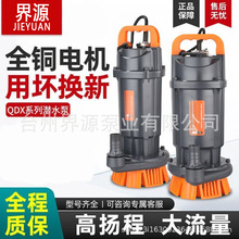 �¿�QDX�r�Ý�ˮ�� 110V���Q��ˮ��220V����������С�;�ˮ��ˮ��