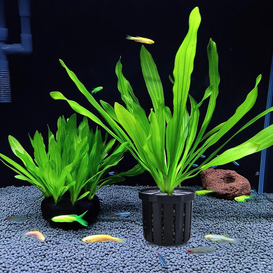 Fish Tank Water Grass Planting Basket Plant Landscape Cup Green Plant Planting Fixer Tank Bottom Plant Cultivation Basket Full Net for Hair