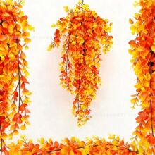 �羳���u���� �ȼ�����  ����ٻ��ڒ�Ғ�ֲ�����������b�