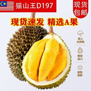 �羳���u�R������؈ɽ����ɏ�����r�����\���r���������M��ˮ��
