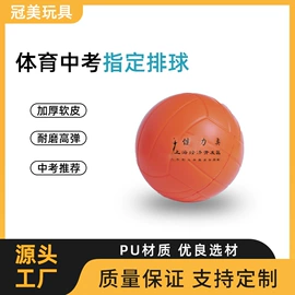其他球类用品;排球;球类
