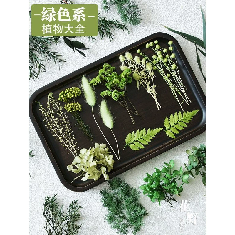 Набор для творчества из вечных сухоцветов: декоративная гортензия, кристаллическая многослойная золотая, домашний сувенир, цветочное искусство