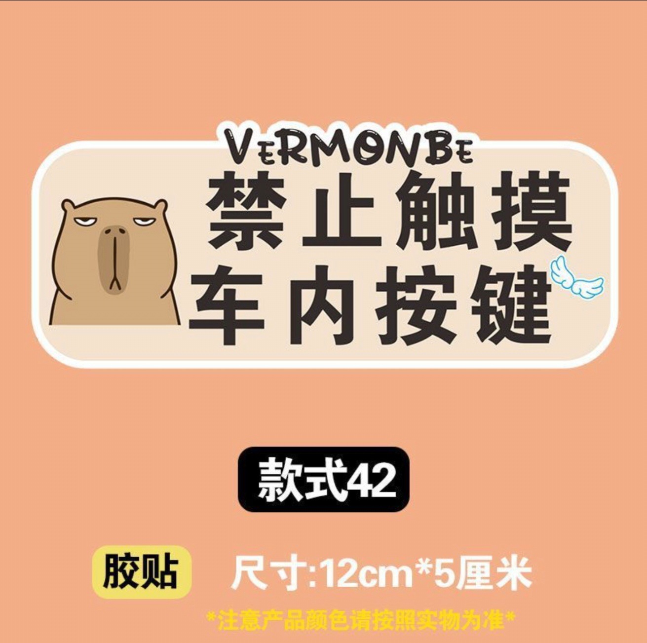 Do not touch the buttons inside the car