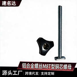 铝合金螺丝M8T型铜芯螺母可用木工滑槽滑块金属加工材料材铝型材