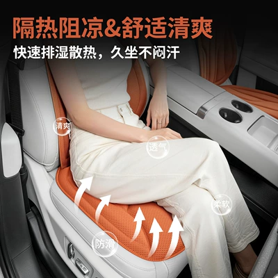 Four Seasons Pad – Car Seat Cushion, Universal for