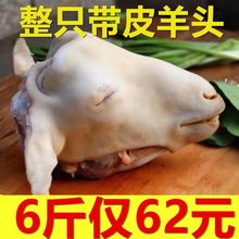 ���r�F�����^��ֻ�����r��Ƥ�������^�����r����r��Ę��ɽ���^