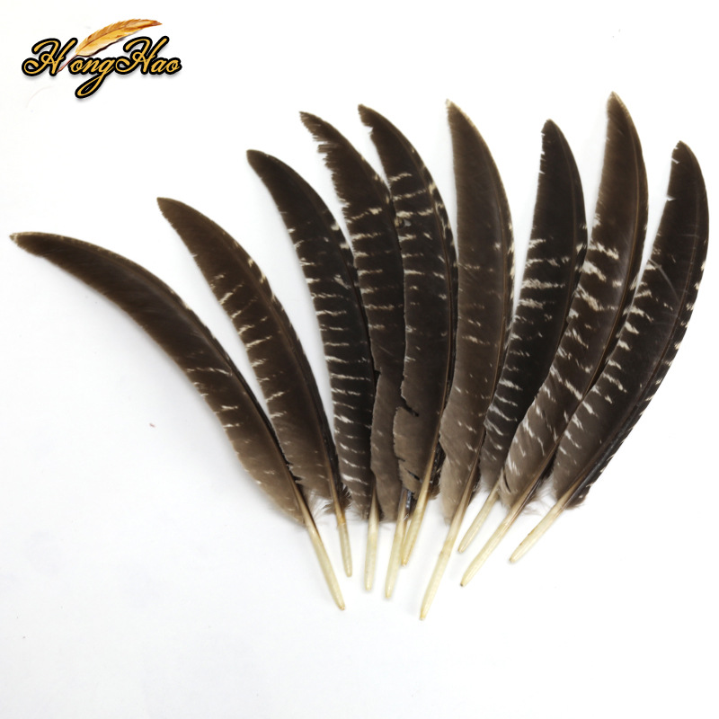 Plumas pequeñas al por mayor de plumas de faislo natural decorativas plumas artesanías bricolaje materiales hechos a mano divertidos accesorios de joyería de palo de gato