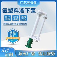 FYS/HYF氟塑料液下泵 耐酸碱化工泵 塑料化工泵除尘脱硫塔循环泵