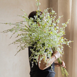 �ߙn�ٻ����滨�[�Oѩ��֦�͏d�廨�������޲͏d�߼����b[��