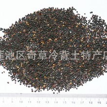 ̨,̦ܿ,Ͳ,Ͳ,lșʮֲֻͲ˵ķN