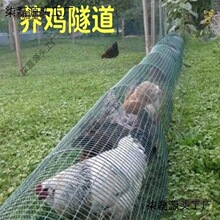 �B�u�ܵ������Bֳ���_�u�ߵ��u���õ��ܵ��\��ɢ�B�u��������̫��