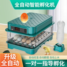 孵化器小鸡孵蛋器全自动智能孵化机16枚24枚小型孵化箱照蛋器