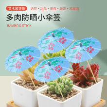 ���l����܂㺞�Ɍ��c���b�����uβ��С�㺞������Ɣ[�P�b�