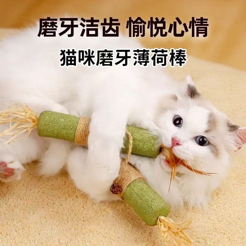 초대형 Catnip 고양이 장난감 셀프 하이 및 바이트 내성 Polygonum Kapinosarum Catnip 볼 고양이 장난감 스틱 고양이 연삭 스틱
