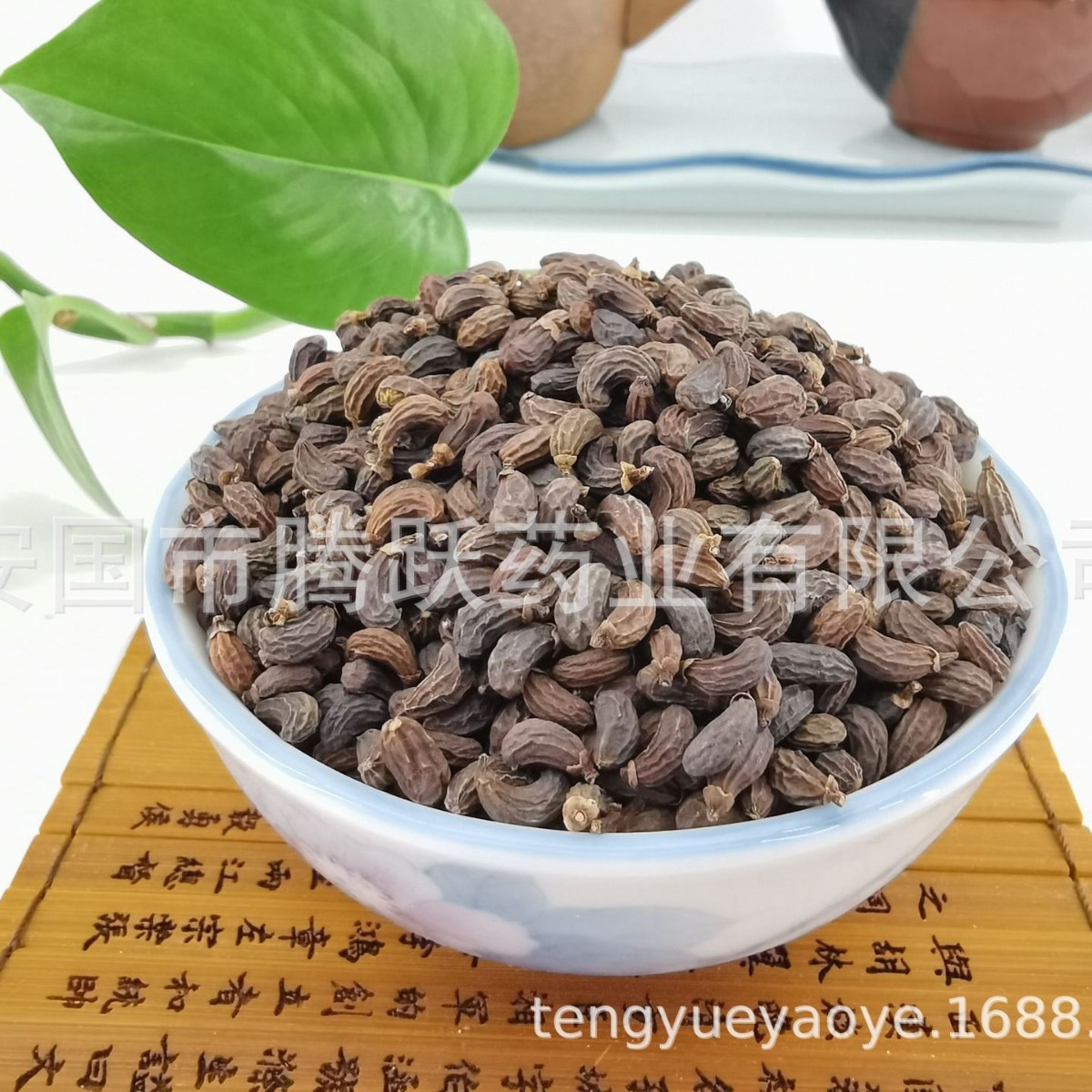 Dried Ligustrum Fruit Nuzhenzi Whole Seeds 500g Traditional Chinese Herb for Decoction and Tea overview