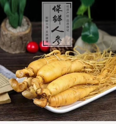現挖鮮人參長白山林下參可煲湯泡酒料整支新鮮人參野山參保鮮三片