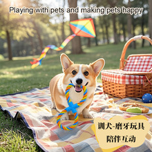 狗狗棉绳玩具中大型犬磨牙互动耐咬户外拔河训练绳结宠物用品批发